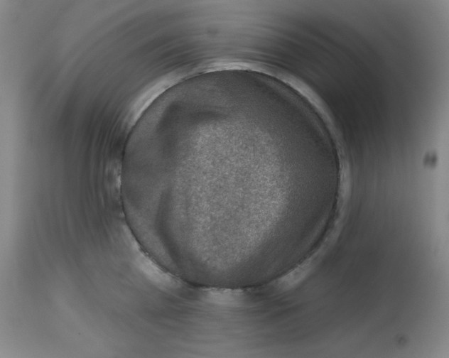 X0000113740809200910211123