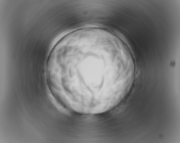 X0000113740811200910211123