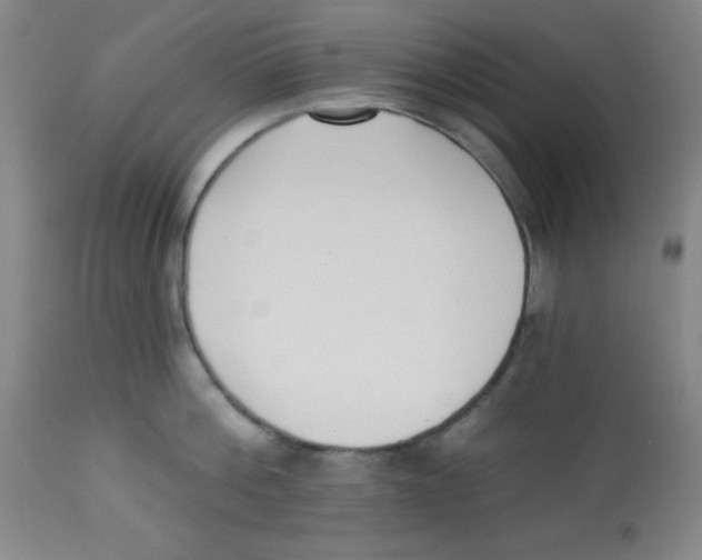 X0000113740812200910211123