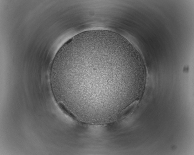 X0000113740813200910211123
