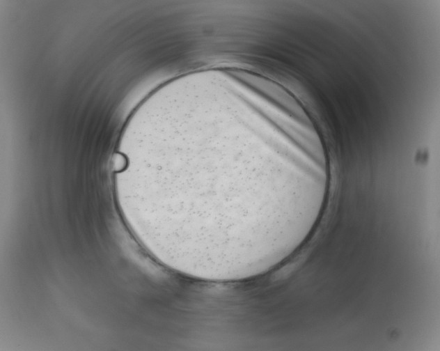 X0000113740814200910211123