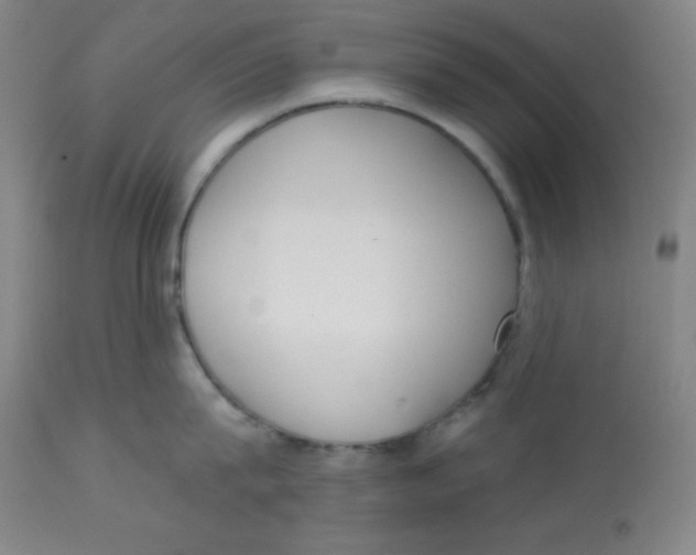 X0000113740815200910211123