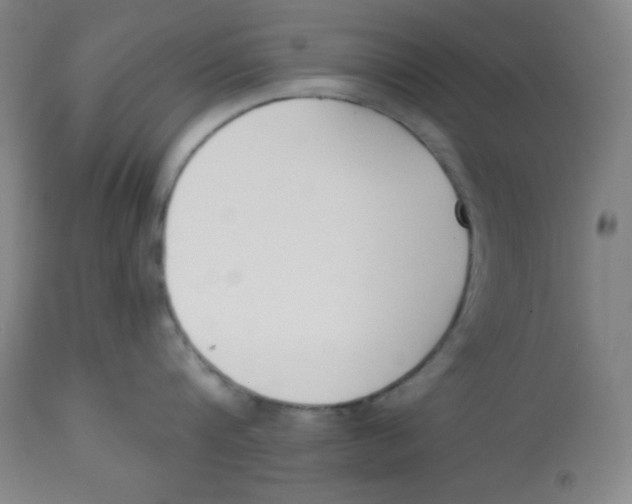 X0000113740816200910211123
