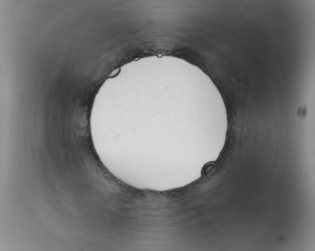 X0000113740818200910211122