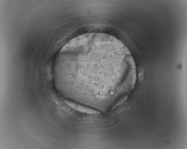 X0000113740819200910211122