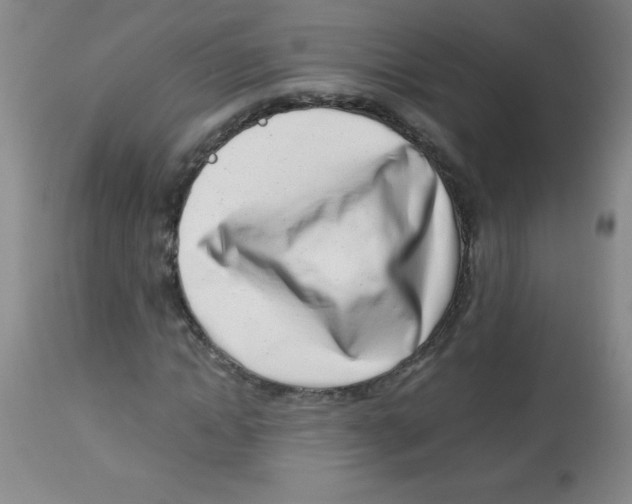 X0000113740822200910211122