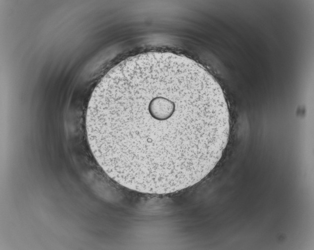 X0000113740824200910211122