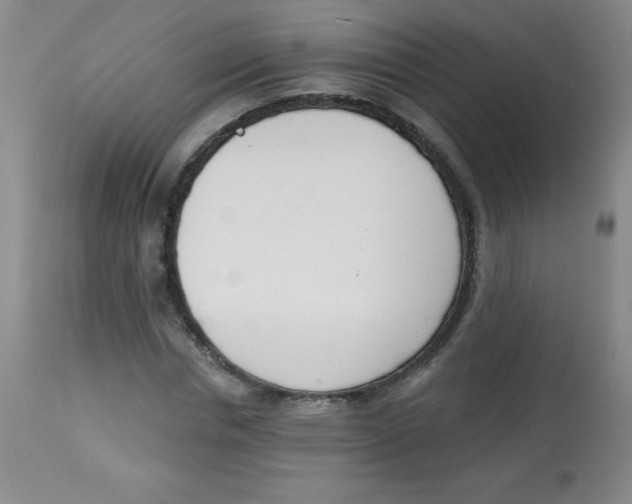 X0000113740826200910211122