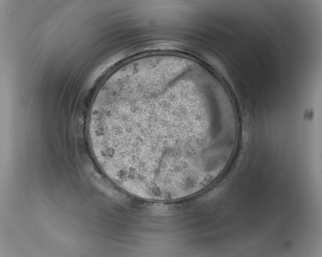 X0000113740827200910211122