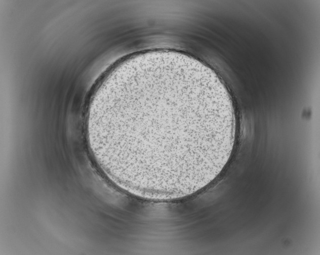 X0000113740828200910211122