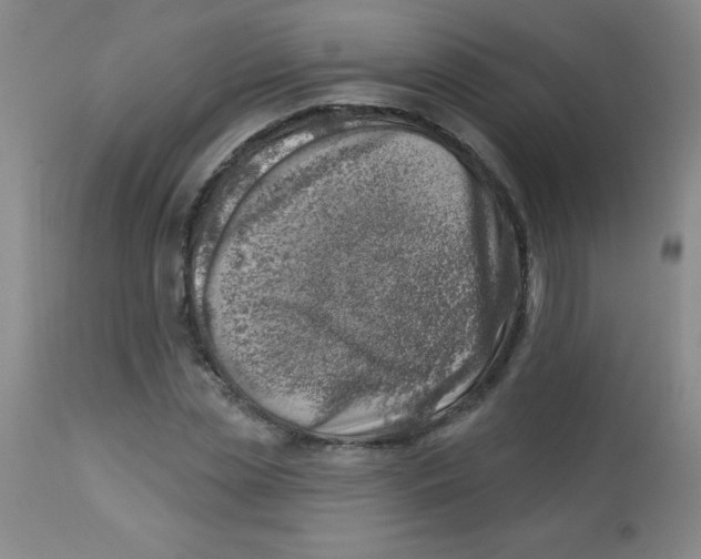 X0000113740829200910211122