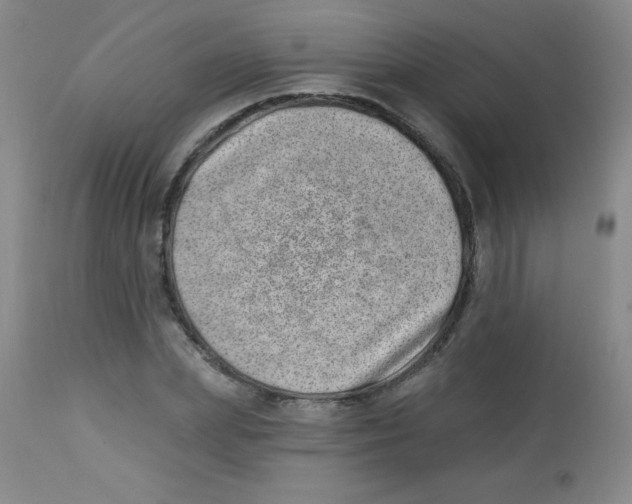 X0000113740831200910211123