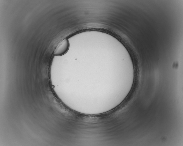 X0000113740833200910211123