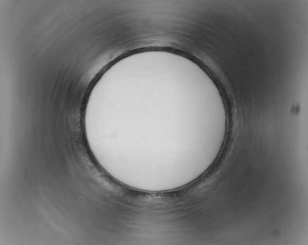 X0000113740834200910211123