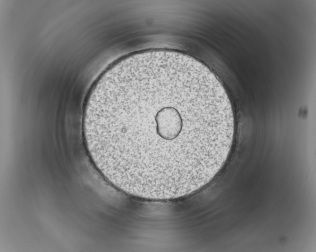 X0000113740836200910211123