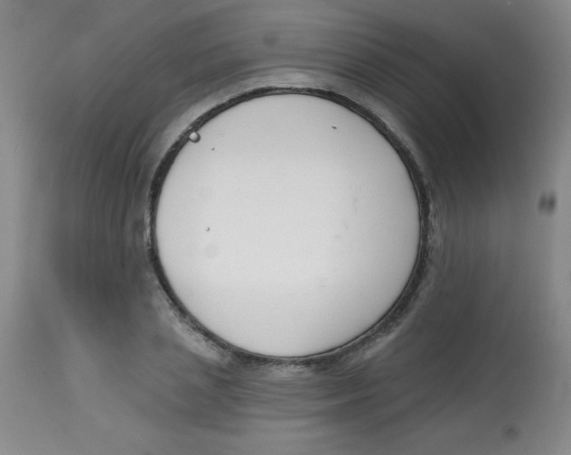 X0000113740837200910211123