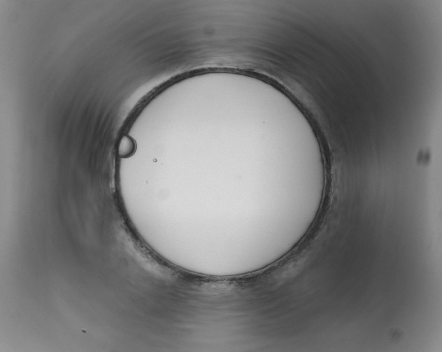 X0000113740838200910211123