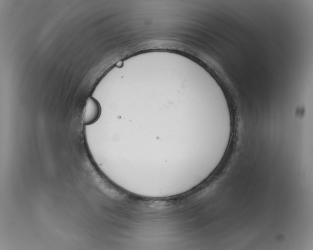 X0000113740841200910211123