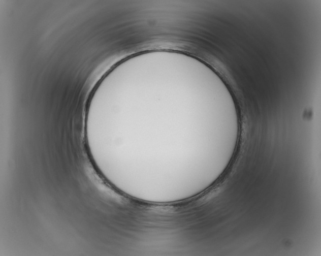 X0000113740844200910211123