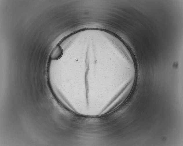 X0000113740845200910211123
