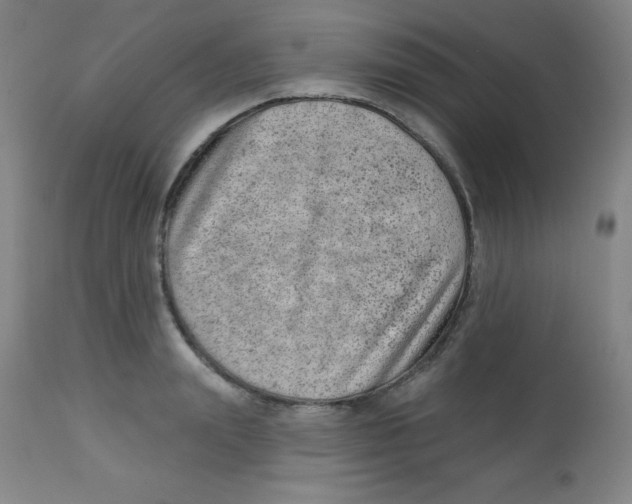 X0000113740847200910211123