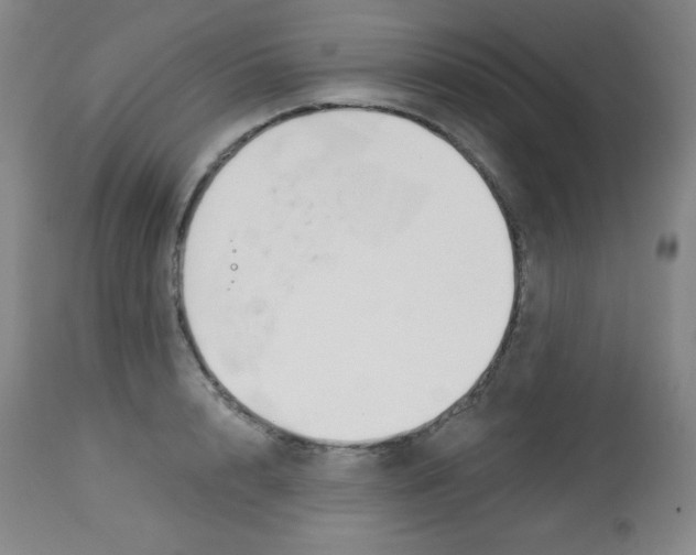 X0000113740848200910211123