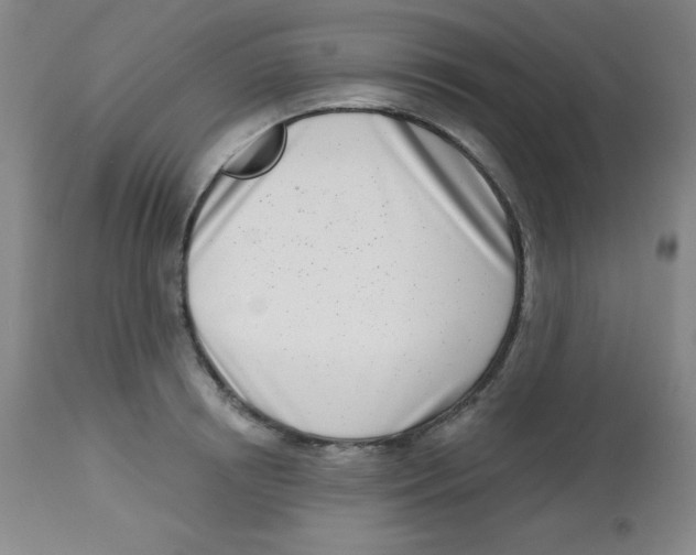 X0000113740850200910211123
