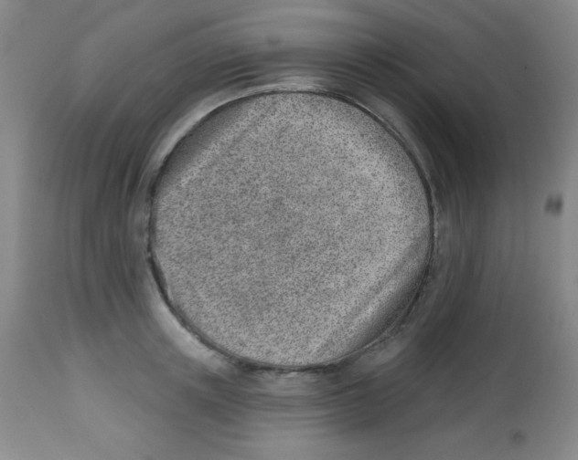 X0000113740851200910211123