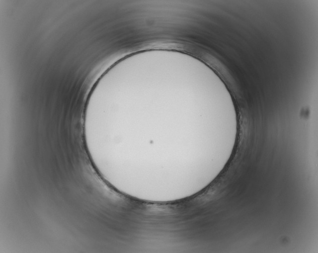 X0000113740852200910211123