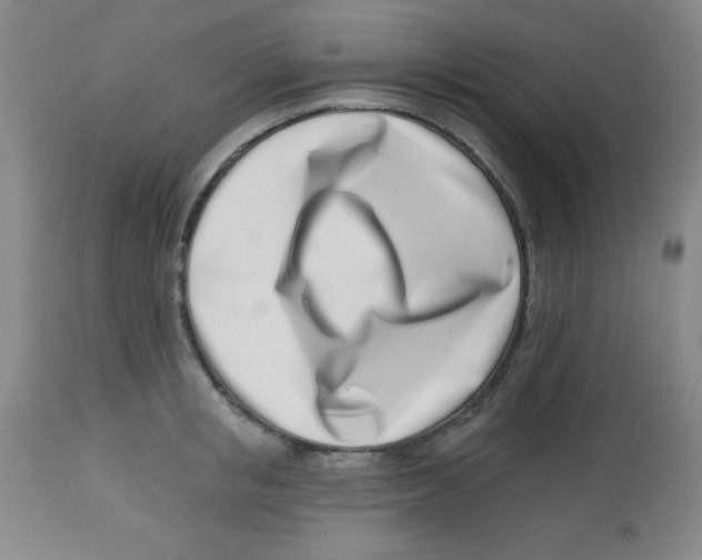 X0000113740853200910211123