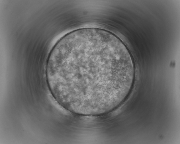X0000113740854200910211123