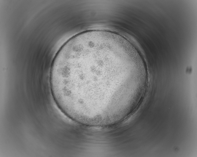 X0000113740855200910211123