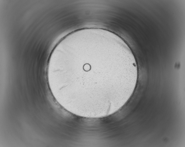 X0000113740856200910211123