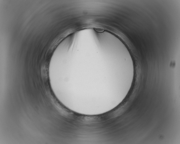 X0000113740857200910211123