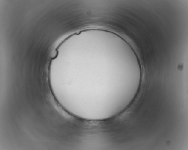 X0000113740862200910211123