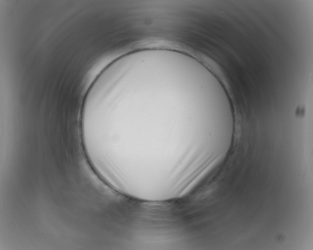 X0000113740863200910211123