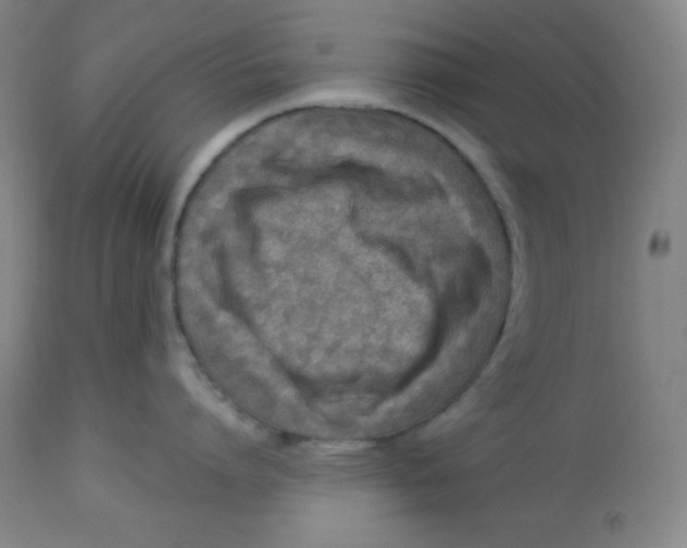 X0000113740864200910211123