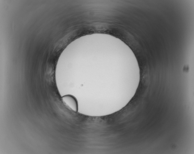X0000113740866200910211122