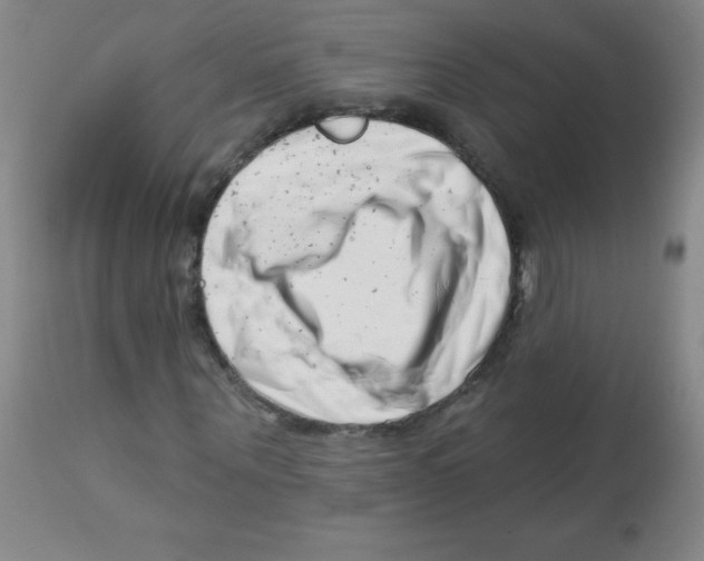 X0000113740867200910211122