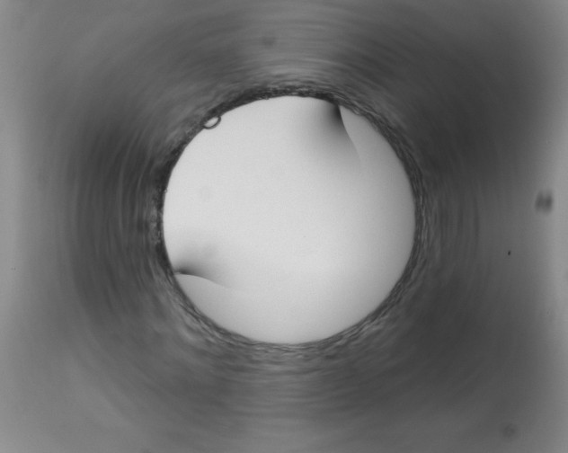 X0000113740868200910211122