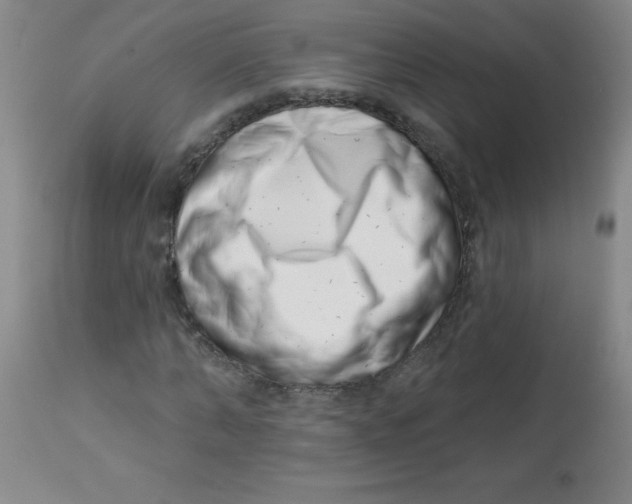 X0000113740870200910211122