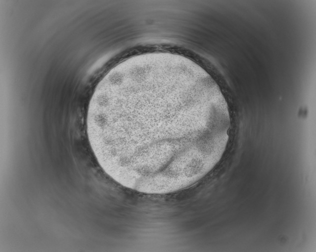 X0000113740871200910211122