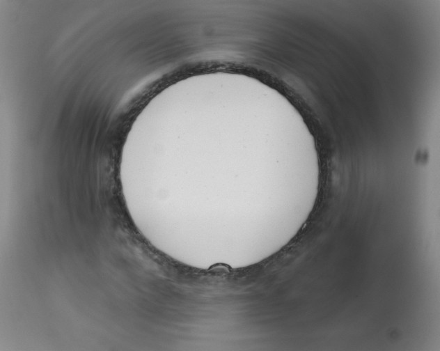 X0000113740872200910211122