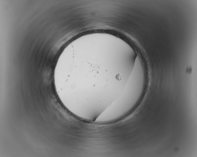 X0000113740873200910211122