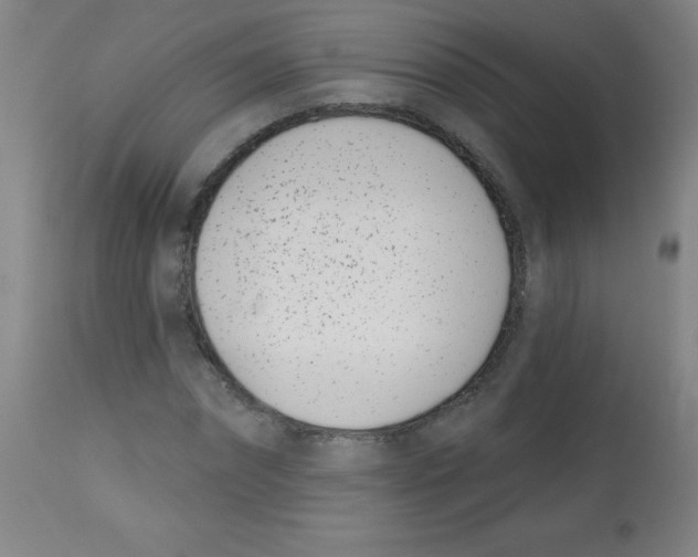 X0000113740874200910211122