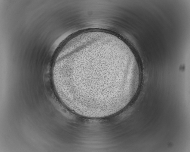 X0000113740875200910211122