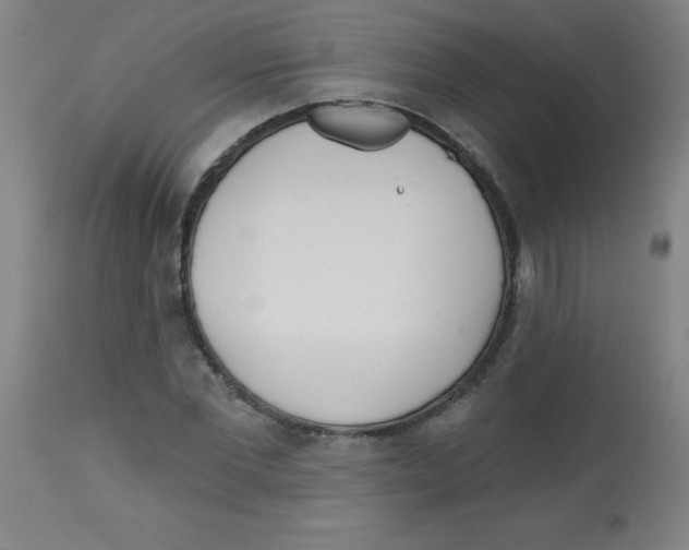 X0000113740877200910211122