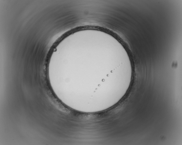 X0000113740879200910211122