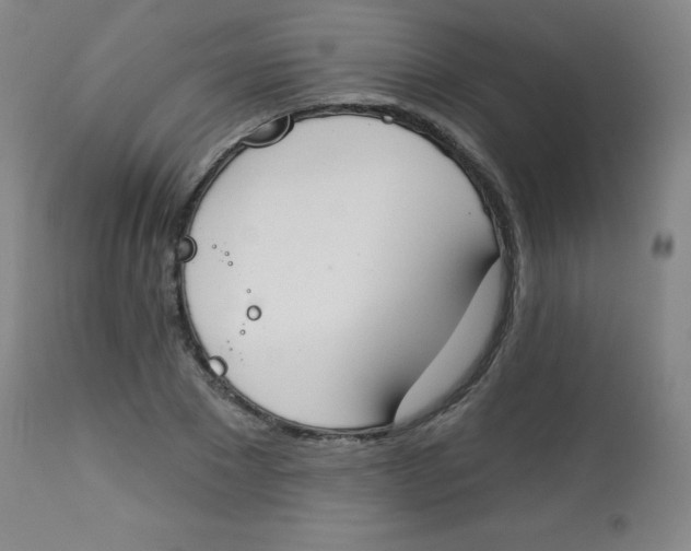 X0000113740881200910211122