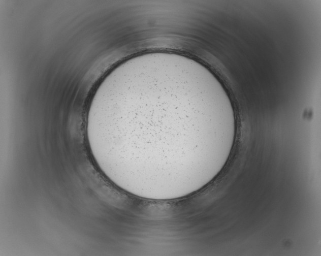 X0000113740882200910211122